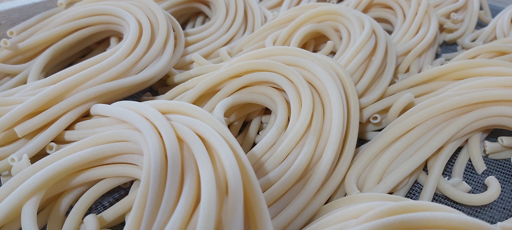 Fideos forrati 